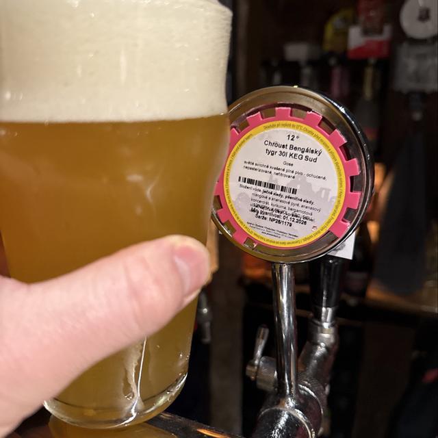 Recent check-in photo 6