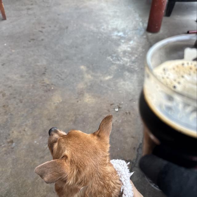 Recent check-in photo 1