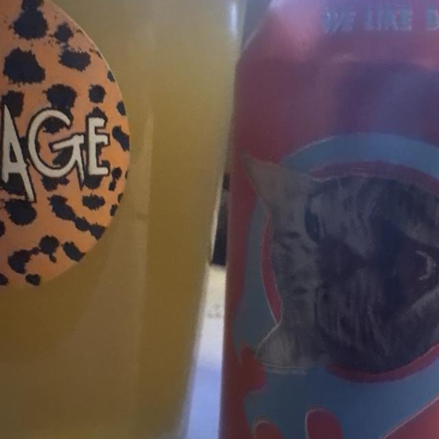 Recent check-in photo 2