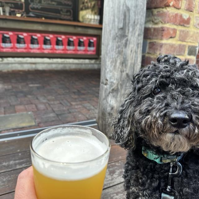 Recent check-in photo 1