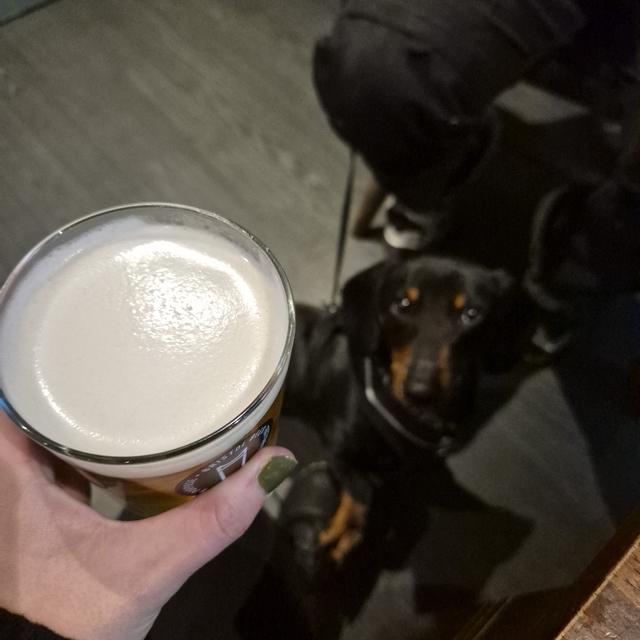 Recent check-in photo 1