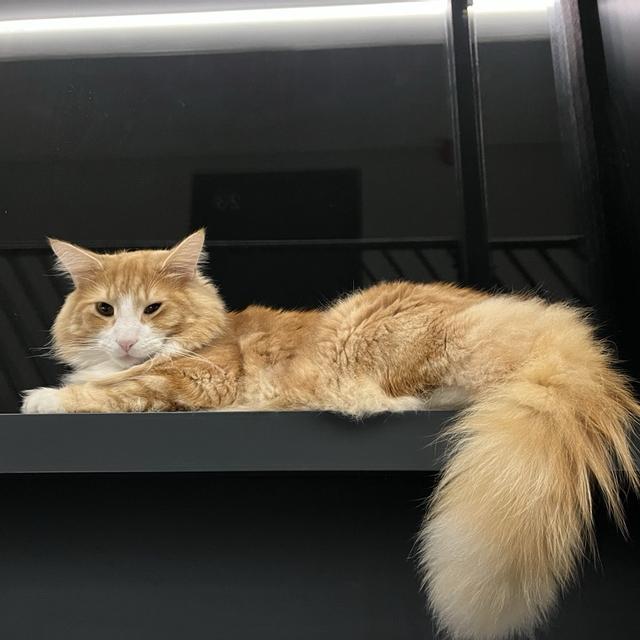 Recent check-in photo 2