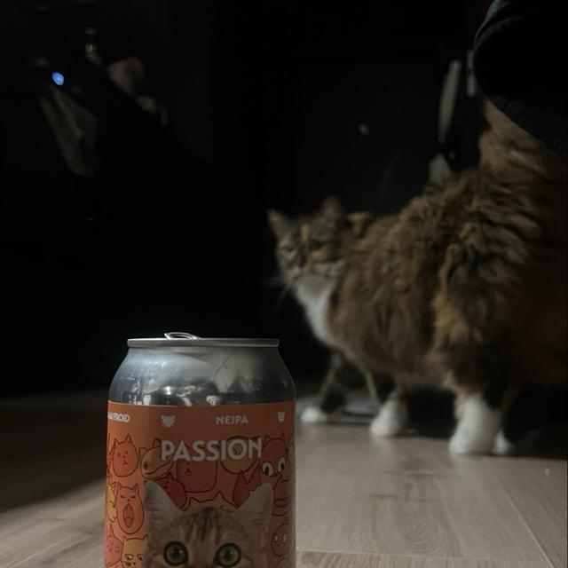 Recent check-in photo 3