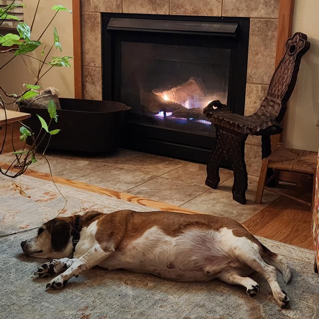 Recent check-in photo 3