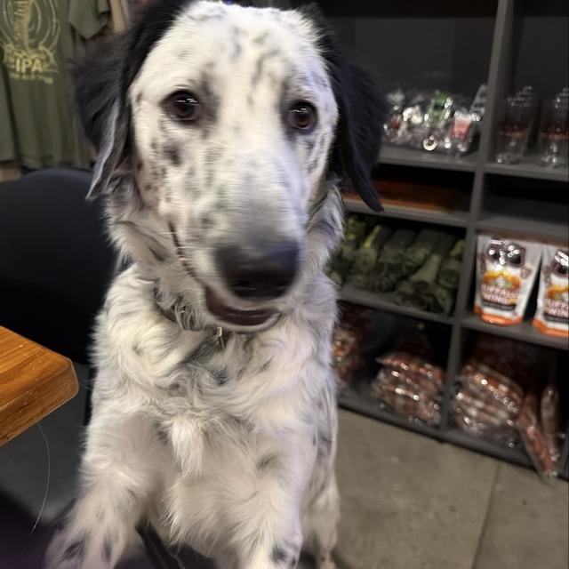 Recent check-in photo 5