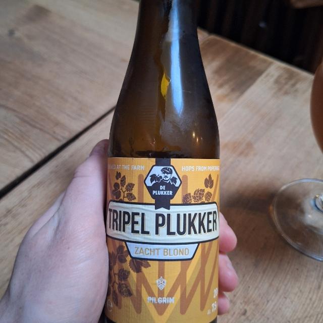 Recent check-in photo 3