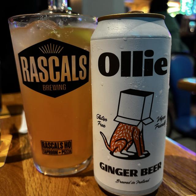 Ollie - Hopfully Brewing | Photos - Untappd Ollie - Hopfully Brewing | Photos - Untappd