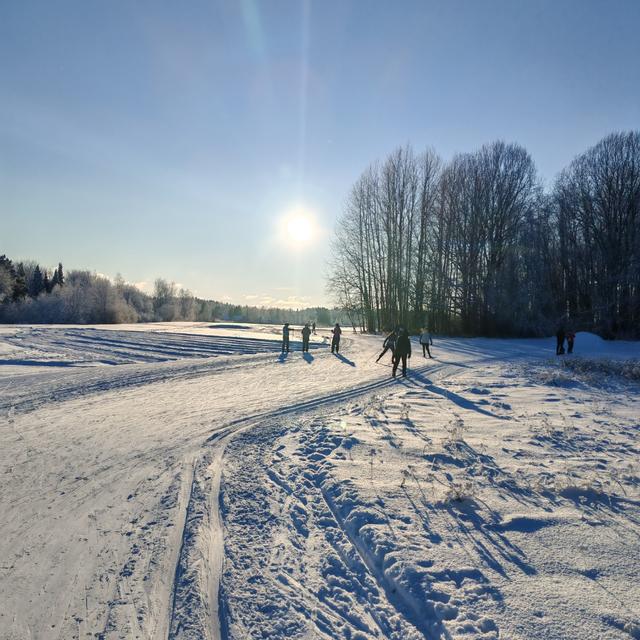 Recent check-in photo 4