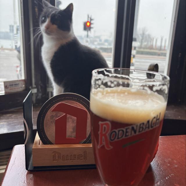 Recent check-in photo 2