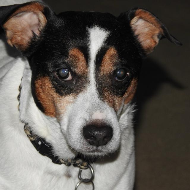 Recent check-in photo 4