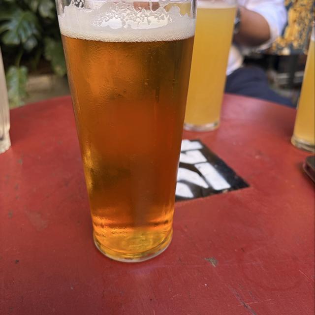 Recent check-in photo 4