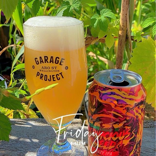 Recent check-in photo 4