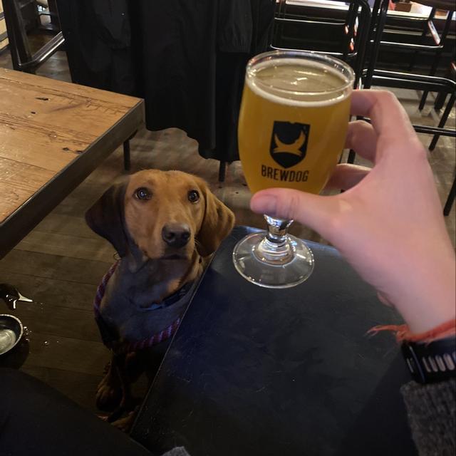 Recent check-in photo 2