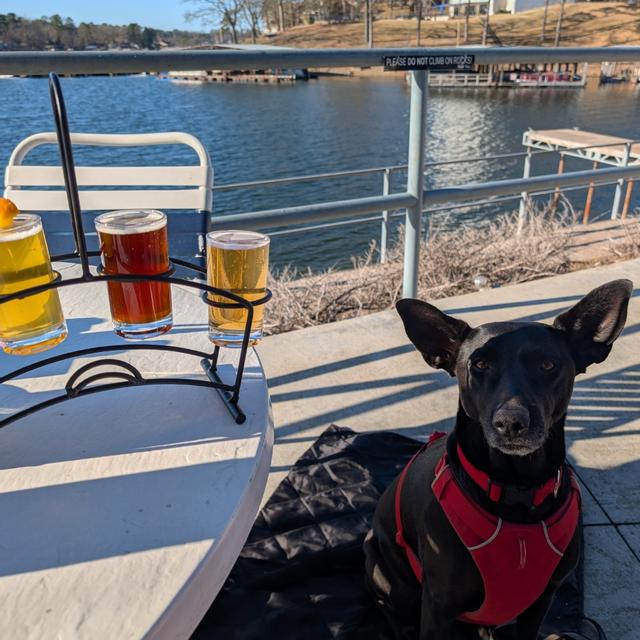 Recent check-in photo 4