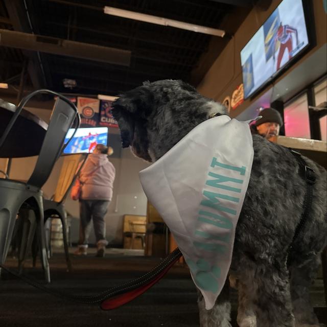 Recent check-in photo 4