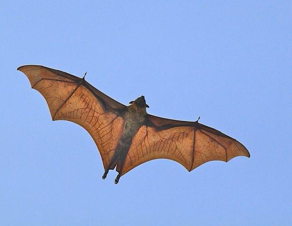 Recent check-in photo 3