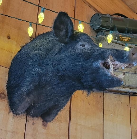 Recent check-in photo 3