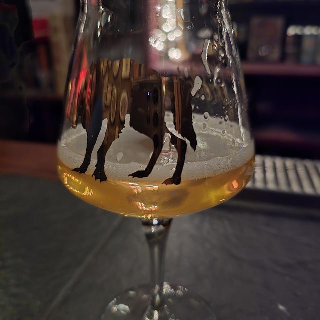 Recent check-in photo 6