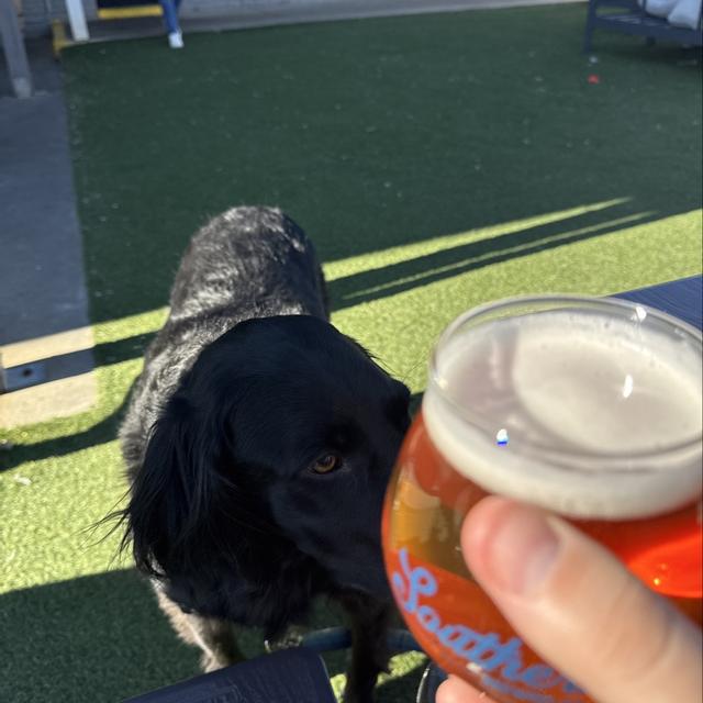 Recent check-in photo 1