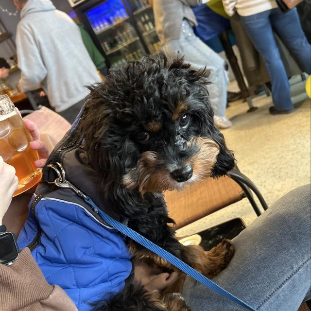 Recent check-in photo 1