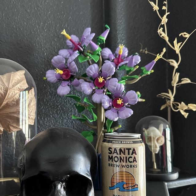 Recent check-in photo 4