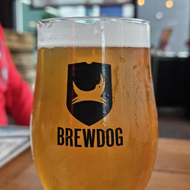 Recent check-in photo 5