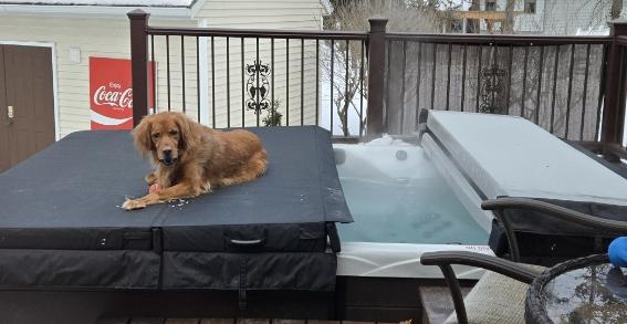 Recent check-in photo 1