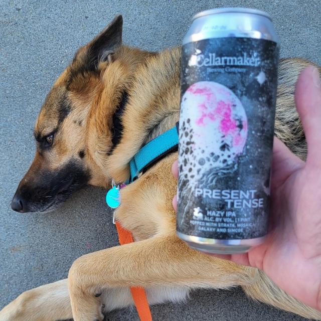 Recent check-in photo 1