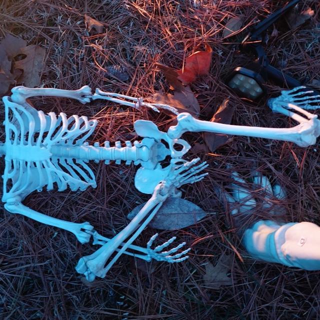 Recent check-in photo 4