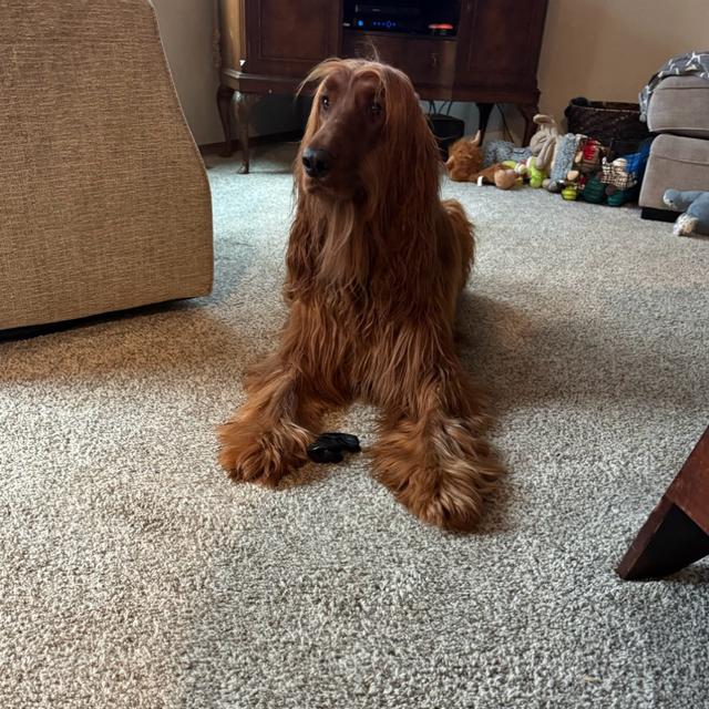 Recent check-in photo 1