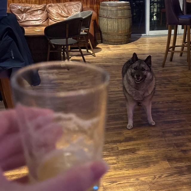 Recent check-in photo 1