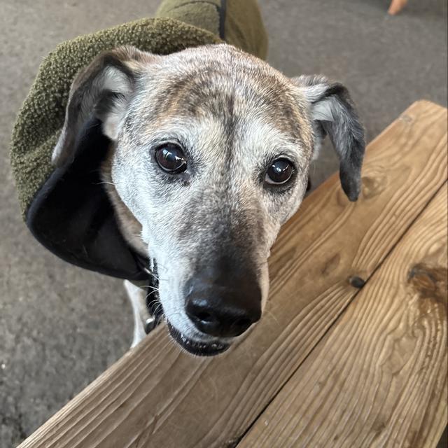 Recent check-in photo 6