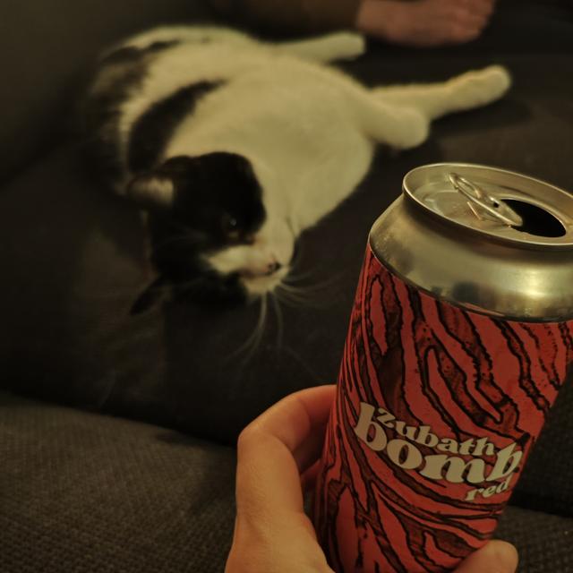 Recent check-in photo 3