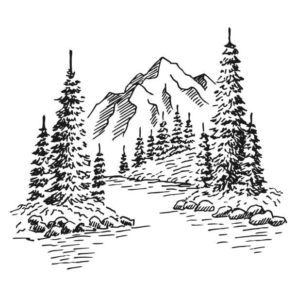 Recent check-in photo 6