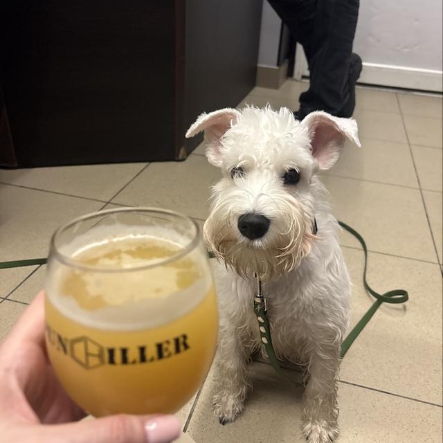 Recent check-in photo 4