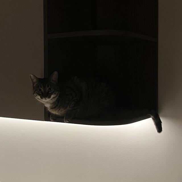 Recent check-in photo 1