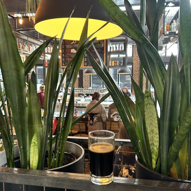 Recent check-in photo 6