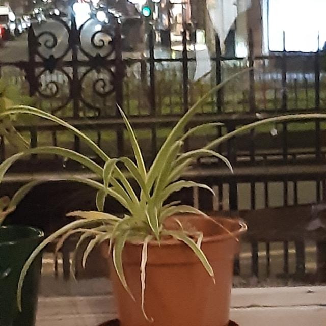 Recent check-in photo 2