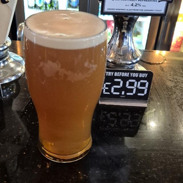 Recent check-in photo 4