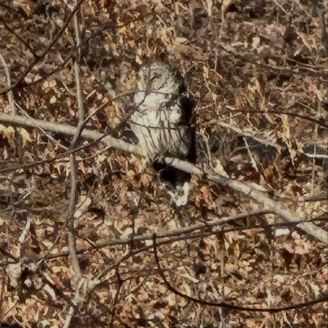 Recent check-in photo 5