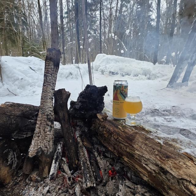 Recent check-in photo 4