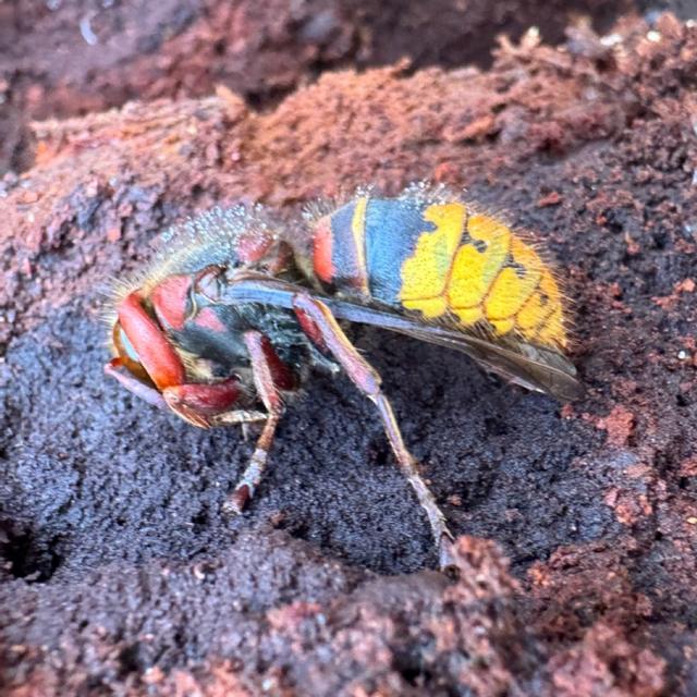 Recent check-in photo 1