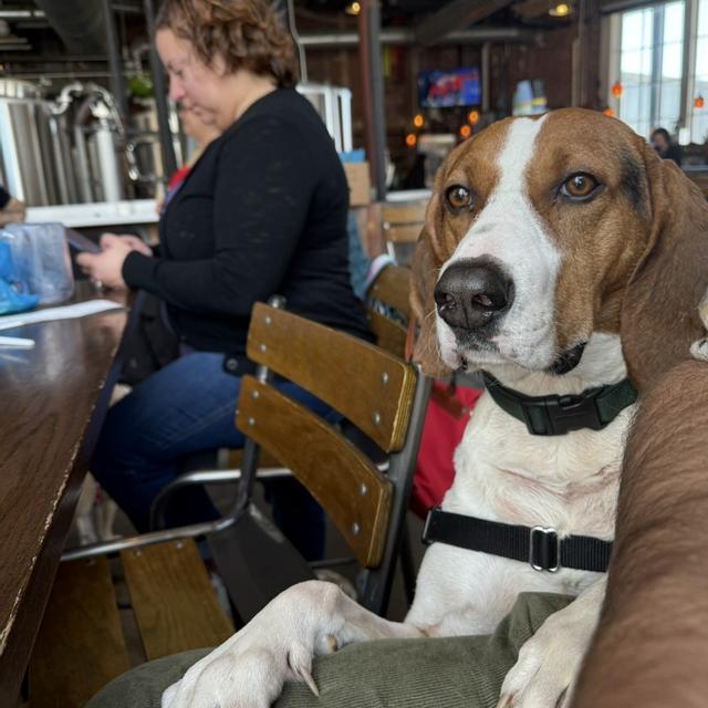 Recent check-in photo 3