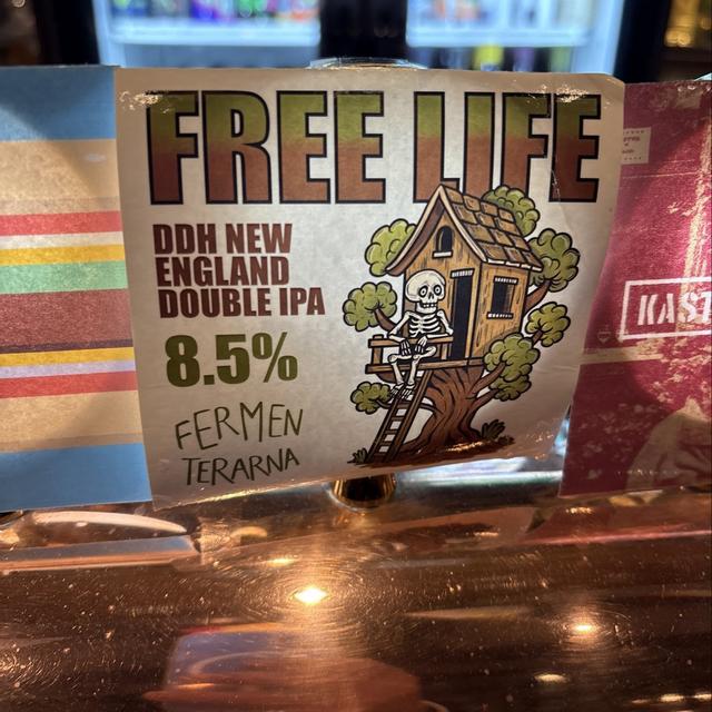 Recent check-in photo 1