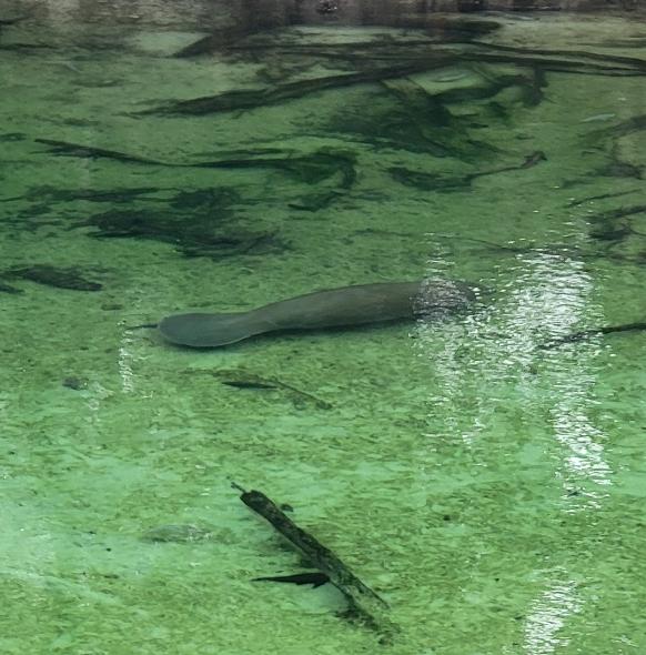 Recent check-in photo 2