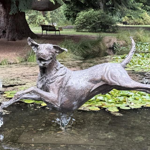 Recent check-in photo 1