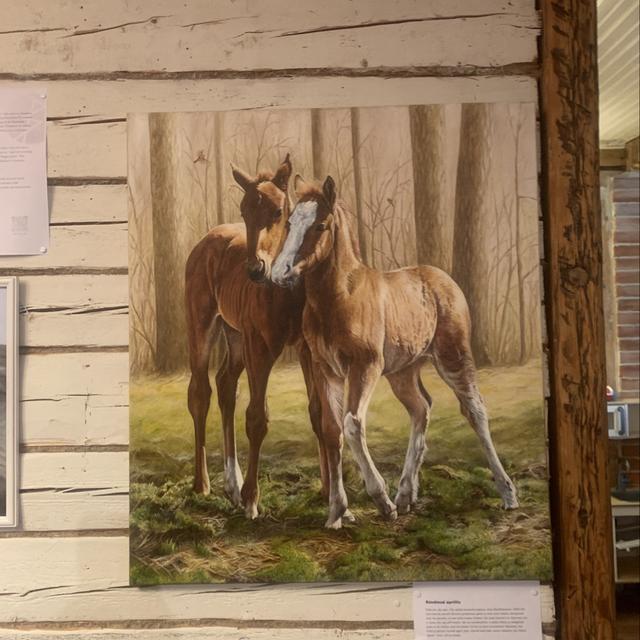 Recent check-in photo 3