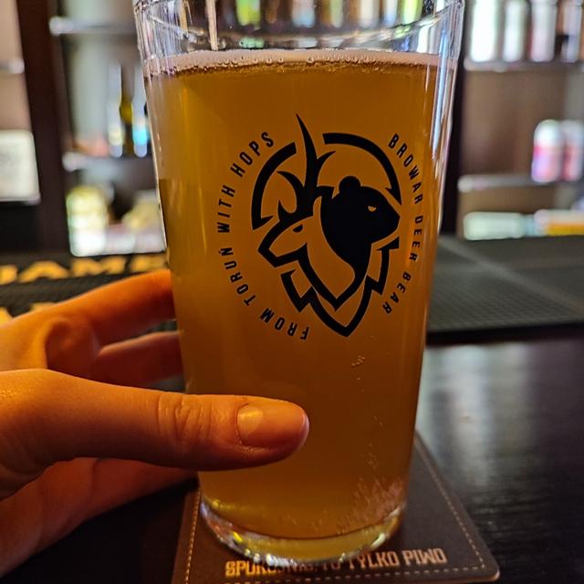 Recent check-in photo 4