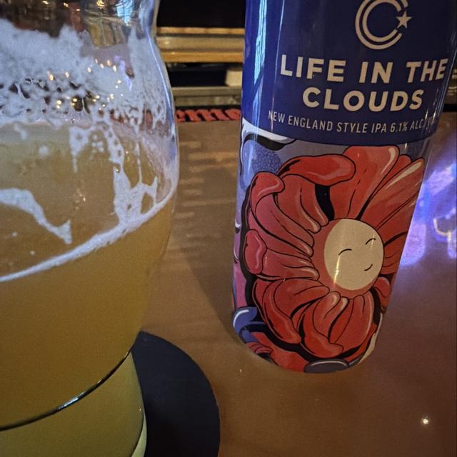 Recent check-in photo 6