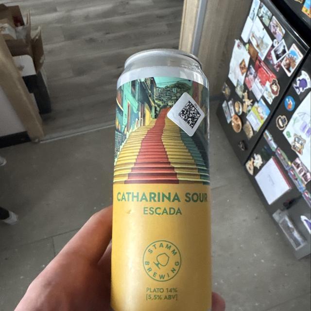 Recent check-in photo 3